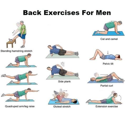 Back Exercises For Men Health Care Pinterest Magazines Back