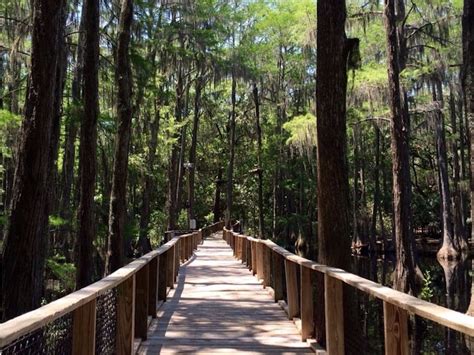 11 Best Things To Do In Tallahassee Florida Trips To Discover