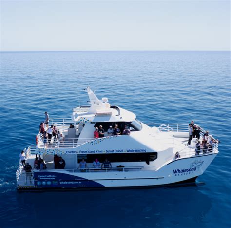 Private Boat Charters Hervey Bay Fraser Island Whalesong