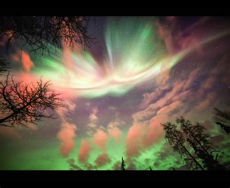 Northern Lights Create Beautiful Sky Show For Thousands Daily Star