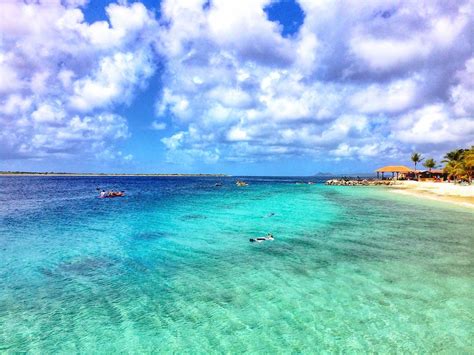 Bring your binoculars and your scuba gear to make the most of bonaire's natural charms: Fabien Cousteau Partners With Bonaire's Harbour Village