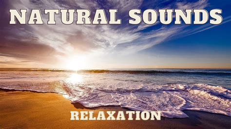 Relaxing Tropical Beach Waves Sounds Home Relaxation Calming Ocean