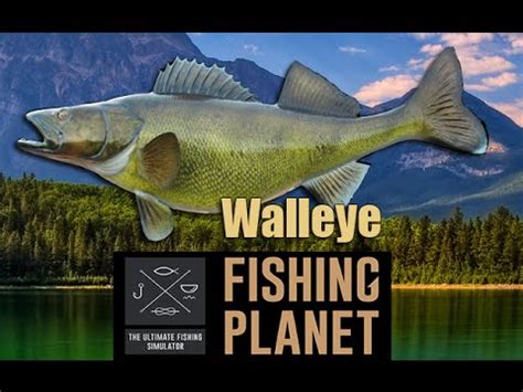 Check spelling or type a new query. Fishing Planet Walleye basic fishing guide EP#5 - YouTube