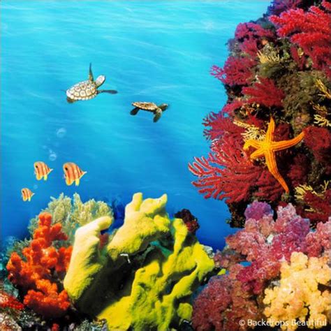 Choose your favorite coral reef paintings from millions of available designs. Backdrops Beautiful | Hand Painted Scenic Backdrop Rentals ...
