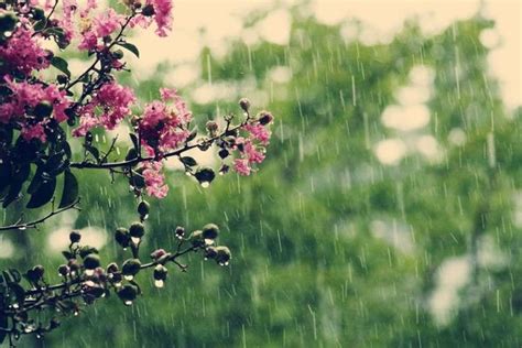 Smittenesque Spring Rain