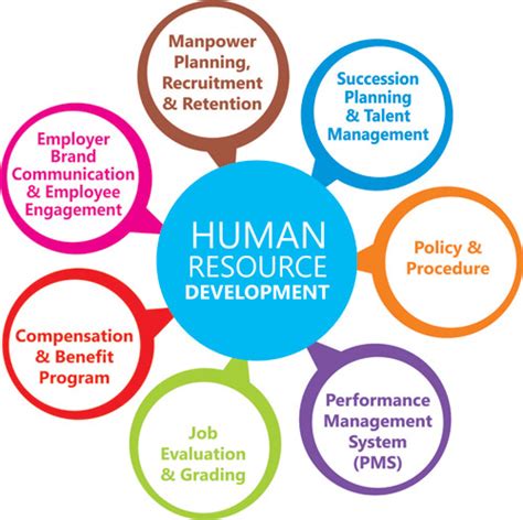 Human Resources Development Vs Human Resources Management Complete Chain
