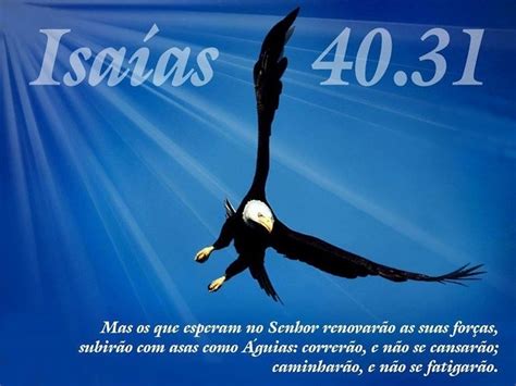 Bíblia Sagrada Em Imagens Isaías 4031 O Voo Da Incansável águia