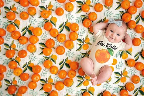 Hey Cutie Orange Oranges Fruit Funny Baby Boy Girl Etsy In