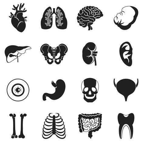 Human Organs Icons Set Simple Style 5314598 Vector Art At Vecteezy