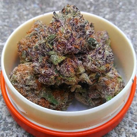 Purple Urkle Cannabis Strain Buy My Weed Online Killer Weed Maeket
