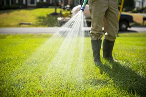 6 Lawn Problems Every Haymarket Gainesville Or Warrenton Va