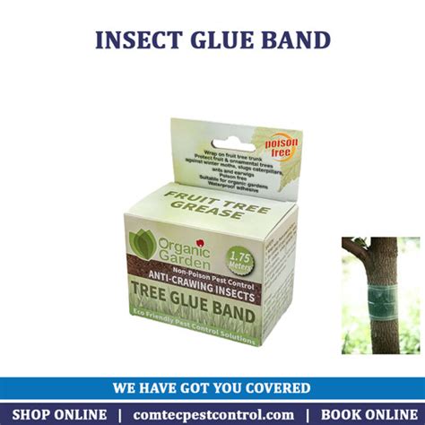 Insect Glue Band Comtecservicelimited
