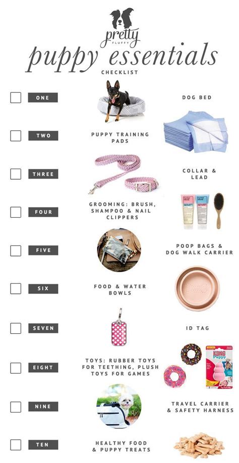 Puppy Essentials Checklist An Illustrated Checklist On Everything You