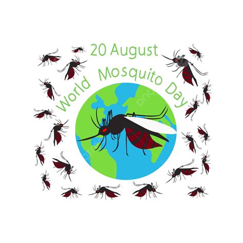 Vektor Hari Nyamuk Dunia Nyamuk Malaria World Mosquito Day Png Dan