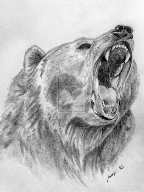 Realistic Bear Drawing By Vempiretattoo On Deviantart Bear Sketch