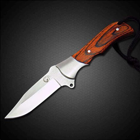 Pegasi Small Fixed Blade Knife 5cr15 Stainless Steel Blade Rosewood