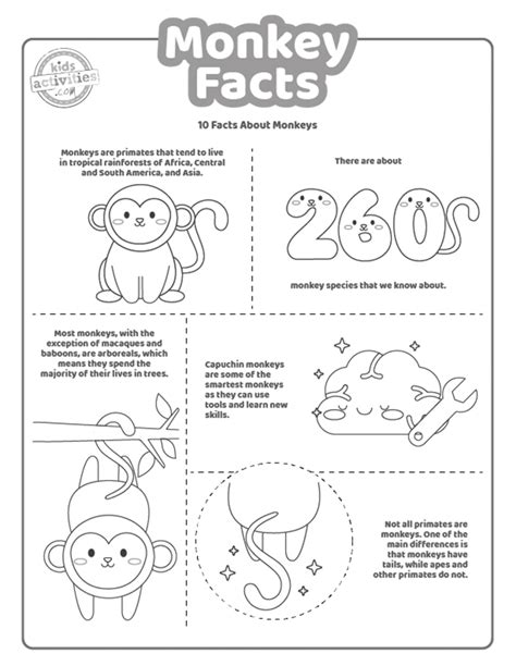 Printable Fun Facts About Monkeys For Kids To Print And Learn Oil