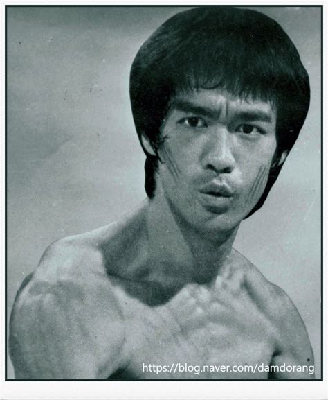 Pin By 담도랑 On Legend Bruce Lee Bruce Lee Art Bruce Lee Lee