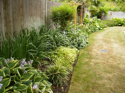 Planting A Herbaceous Border With Tree Fern Harlow Garden Services