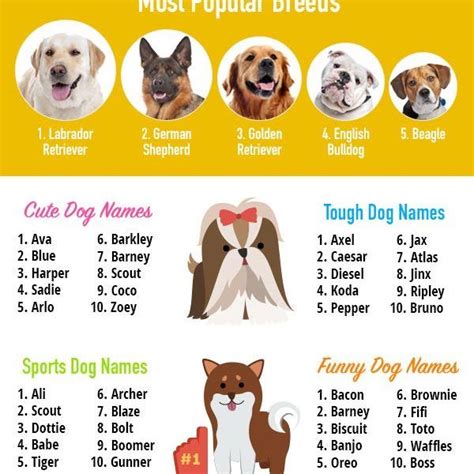 Top Dog Names Of This Year Dog Names Top Dog Names Cute Names For Dogs