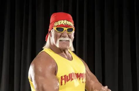 Why Did Hulk Hogan Leave Wwf