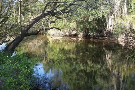 Little Manatee River State Park In Wimauma Fl Americas State Parks