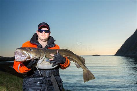 Man Is A Fisherman He Holds A Huge Fish In His Hands Evening Stock