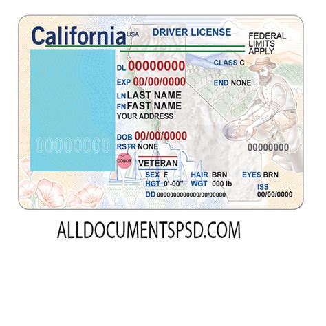 California Driver License Template All Psd Templates