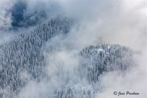 After The Snowfall Mount Seymour Provincial Park British Columbia