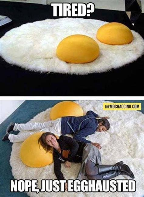 Eggs Austed Best Puns Funny Puns Puns