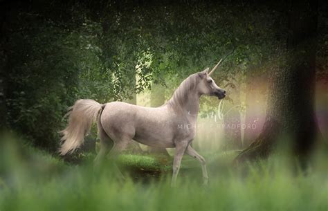 Magical Unicorn In Enchanted Forest Digtial Background Digital Etsy