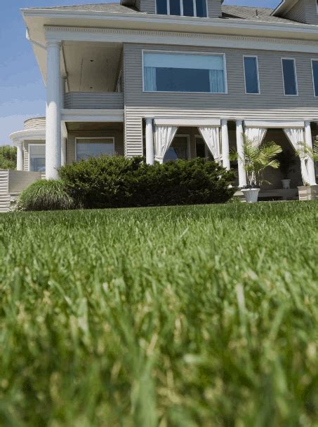 But i have had a green thumb, for several years. Lawn Care Columbus OH | ExperiGreen