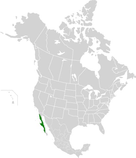Baja California Desert Wikipedia