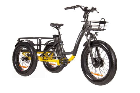 Perraro Trike Electric Bike 750w Ph