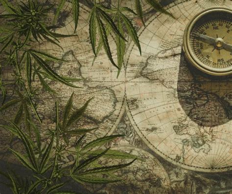 The Origins Of 420 Exploring Cannabis History And Its Impact On Today