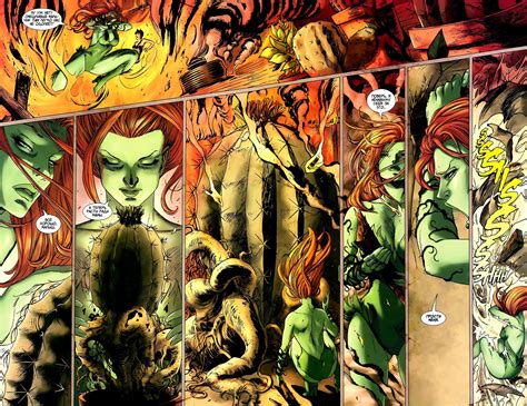 Gotham City Sirens D C Dc Comics Catwoman Poison Ivy