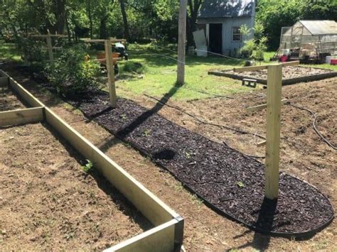 Lowe's home improvement, mooresville, north carolina. No Dig Garden Edging - EasyFlex™ Landscaping Edging | Free ...