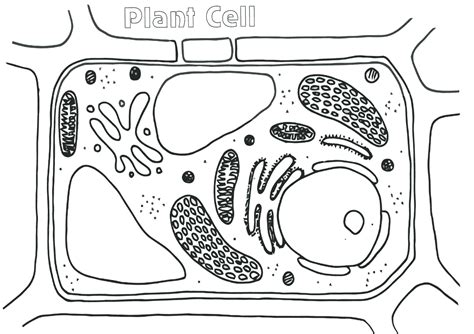 25 Best Ideas For Coloring Cell Coloring Page
