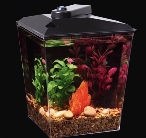 Aqua Culture 1 Gallon Aquarium Kit With Led Lighting And Natural