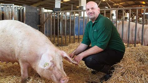 Pig Farming Value Chain Farm House