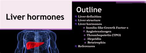 Liver Hormones Presentation Do A Biology