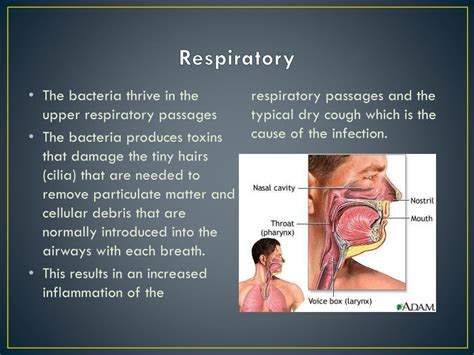 Upper Respiratory Infection Definition Causes Symptoms Treatment My