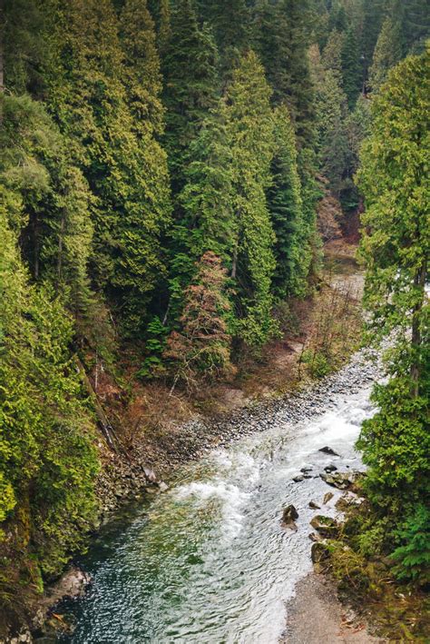 A Naturally Thrilling Experience At Capilano Suspension Bridge Park