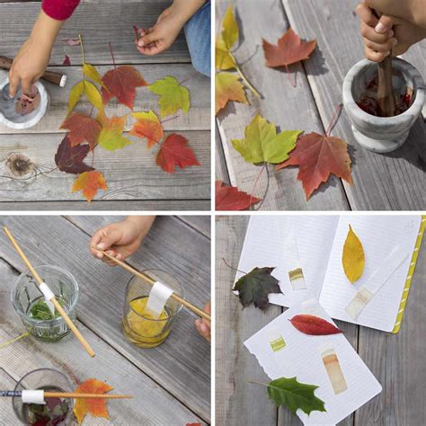 5 Fall Nature Crafts For Kids Parents