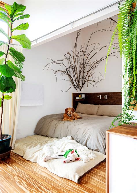 Find this pin and more on decorating with plants by nestrs. Design Highlight: Bedrooms Using Live Plants as Decor ...