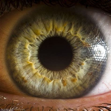 The Eyes Have It The Iris Pictured In Remarkable Detail By Incredible Close Up Shots Macro