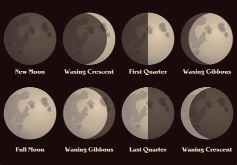 Grade Moon Phases Worksheet