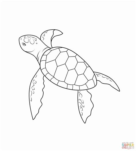 Sea Turtle Coloring Pages Printable In