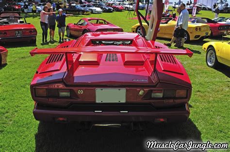 Countach 25th Anniversary Rear Picture 1280 By 850 Pixels From The