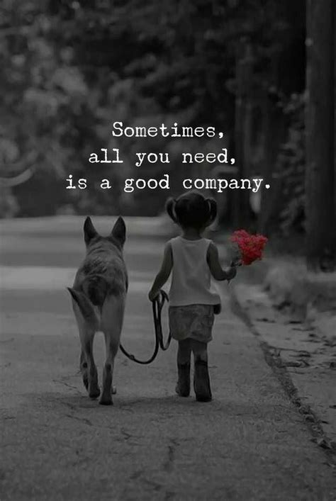 Sometimes All You Need Is A Good Company Holiday Quotes Funny Funny